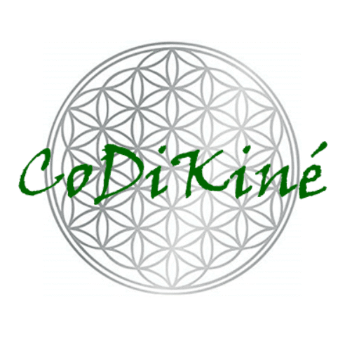 Logo de CoDiKine